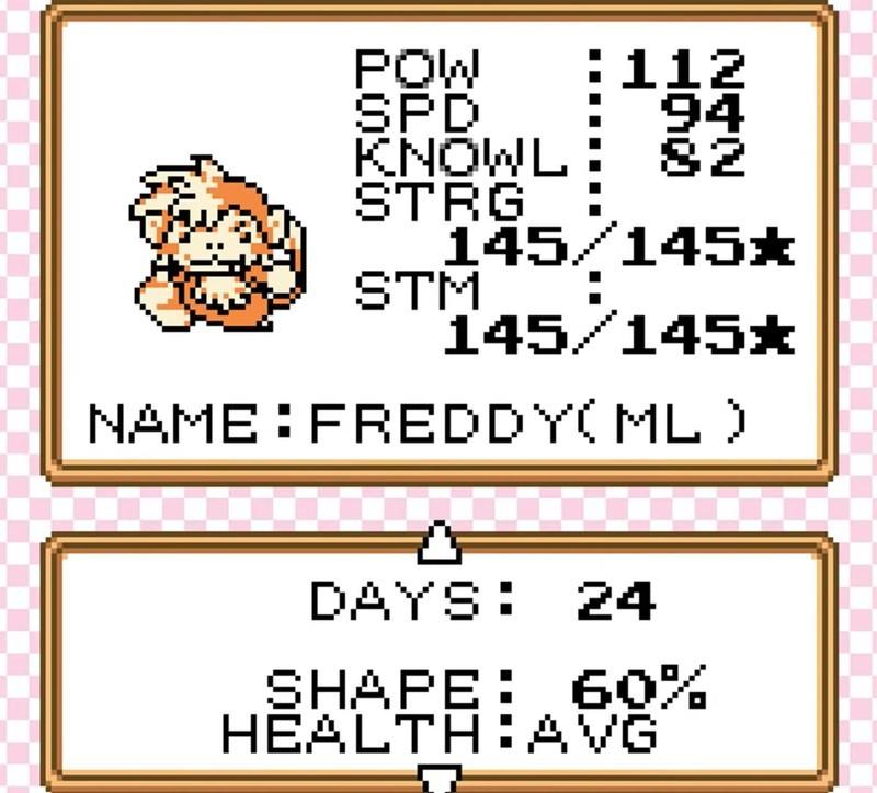 صفحه آمار در بازی Monkey Puncher شبیه Pokémon برای GameBoy Color