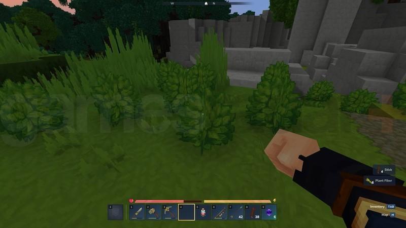 فیبر گیاهی Hytale کجاست