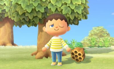 ترفند زنبور Animal Crossing: New Horizons و کشف کاربرد جدید یک آیتم فراموش شده