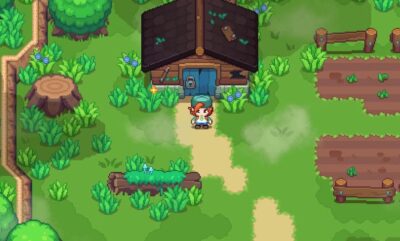 راهنمای کامل بازی Under the Island حل پازل مرغداری نفرین شده