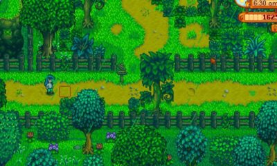 Stardew Valley باران سبز راهنما و بررسی کامل این پدیده جذاب