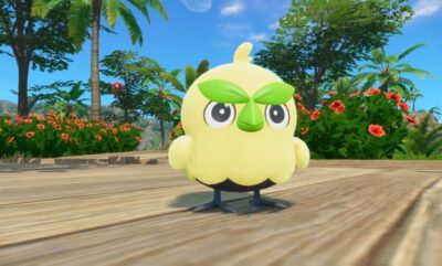 Pokemon Browt واکنش طرفداران به استارتر جدید بازی Pokemon Winds and Waves