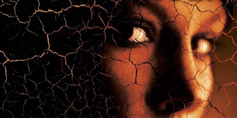 طرح جلد کتاب Eve Duncan The Face of Deception، یکی از کتاب های مشابه The Lincoln Lawyer