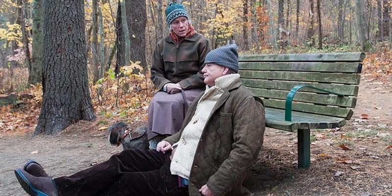 الیو (فرانسیس مک دورمند) و جک (بیل ماری) در یک پارک در مینی سریال HBO Olive Kitteridge