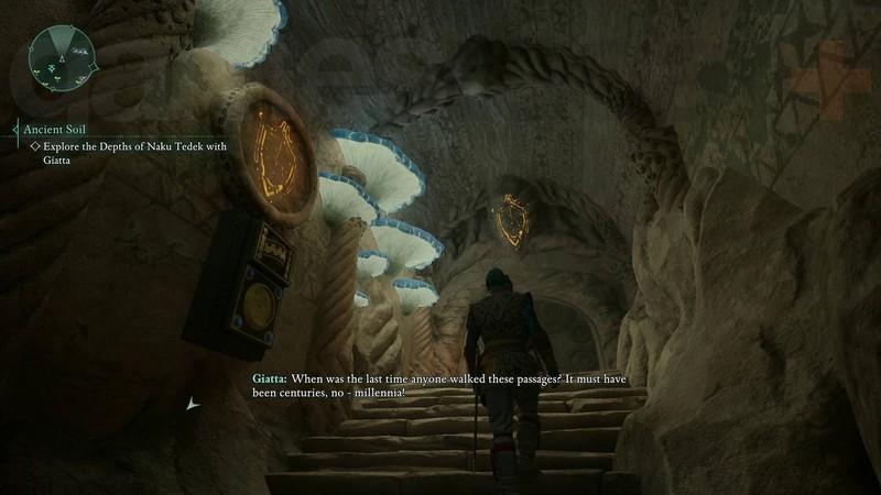 سوئیچ شوک در Nadu Tedek برای پیدا کردن گردنبند Effigy Necklace در Totem of Defiance در Avowed