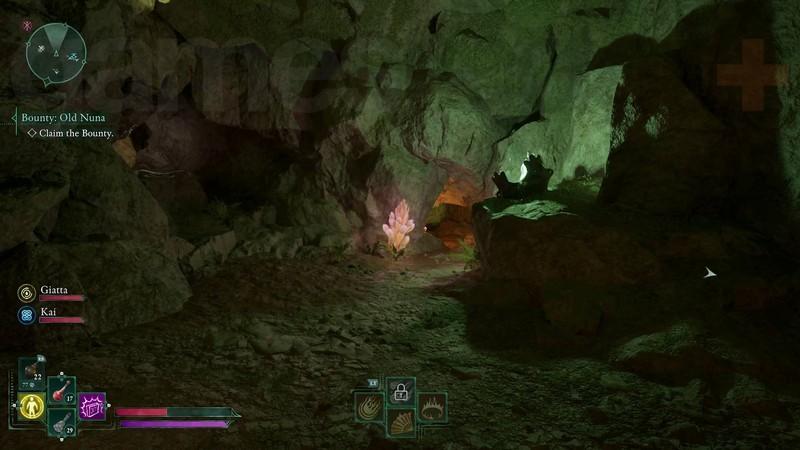 تونل غار Ancient Grotto برای پیدا کردن بت Idol of Secret Hatred در Totem of Defiance در Avowed