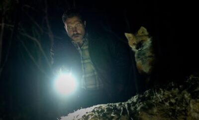نقد فیلم The Fox؛ کمدی سوررئال استرالیایی که به اندازه کافی عجیب نیست