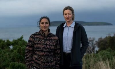 Deadloch نقد منتقدان و نمره کامل راتن تومیتوز برای فصل دوم سریال Deadloch