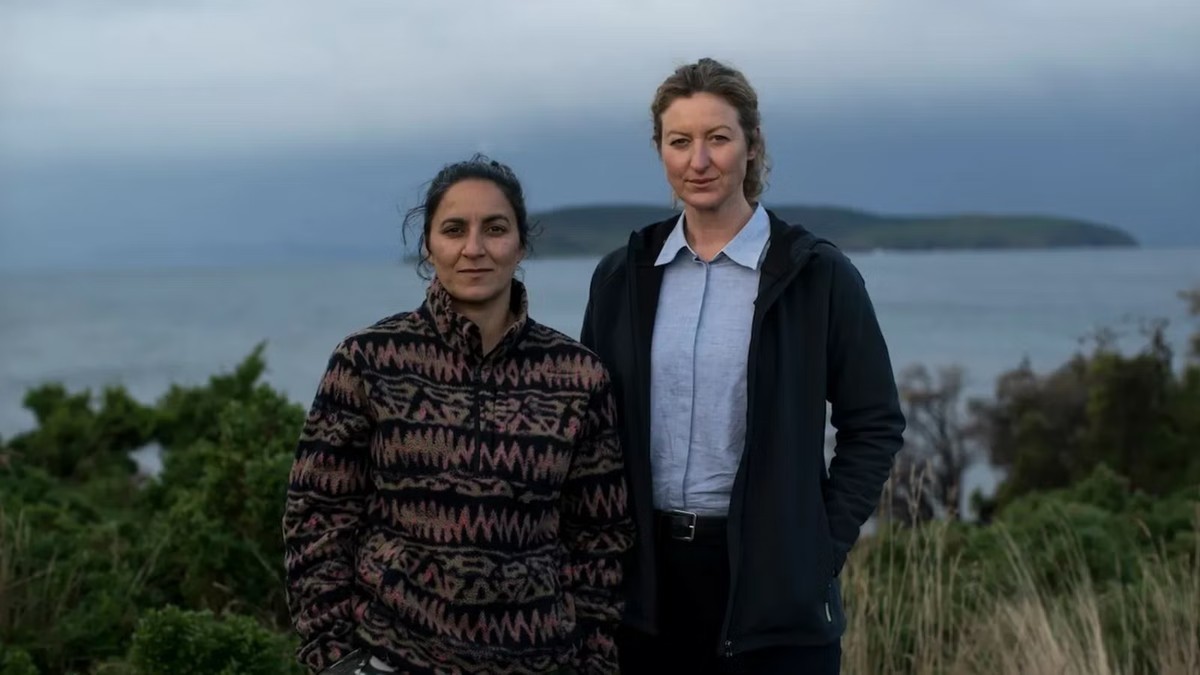 Deadloch نقد منتقدان و نمره کامل راتن تومیتوز برای فصل دوم سریال Deadloch