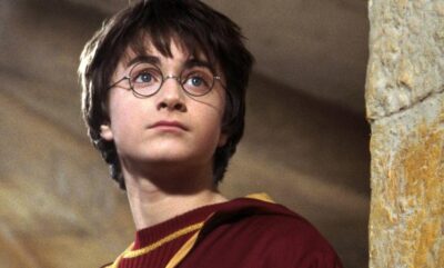 تمرکز ویژه بر کوییدیچ سریال Harry Potter انتظارات 29 ساله طرفداران را برآورده می کند