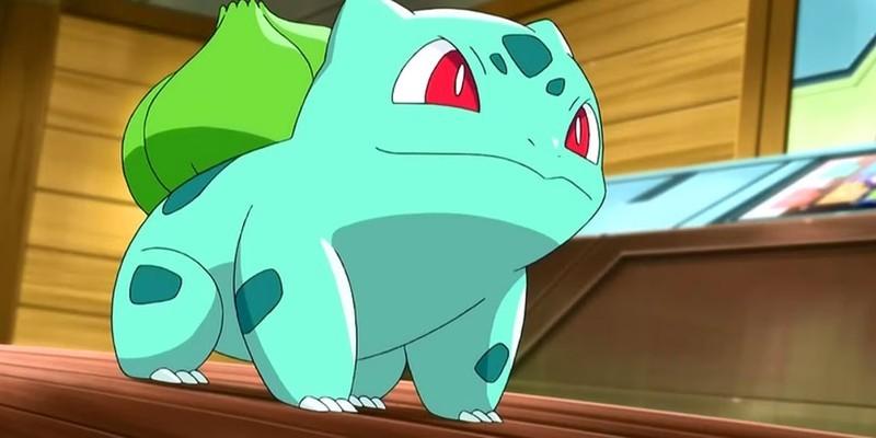 Bulbasaur، یکی از برترین Pokemon های Ash، در حال نگاه کردن به بالا.
