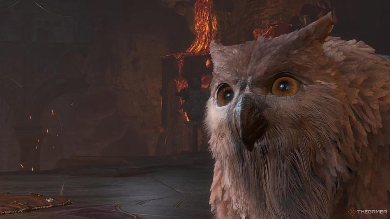 توله Owlbear در بازی Baldur's Gate 3؛ یکی از Baldur's Gate 3 جزئیات پنهان حیات وحش