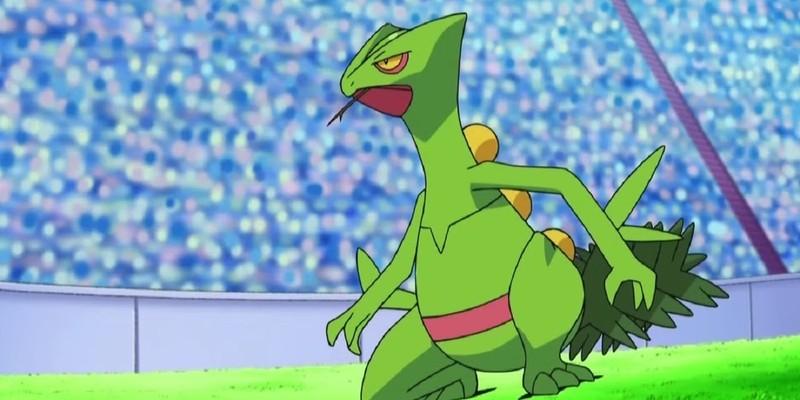 Sceptileِ اش، یکی از برترین Pokemon های Ash، از سری انیمه Pokémon.
