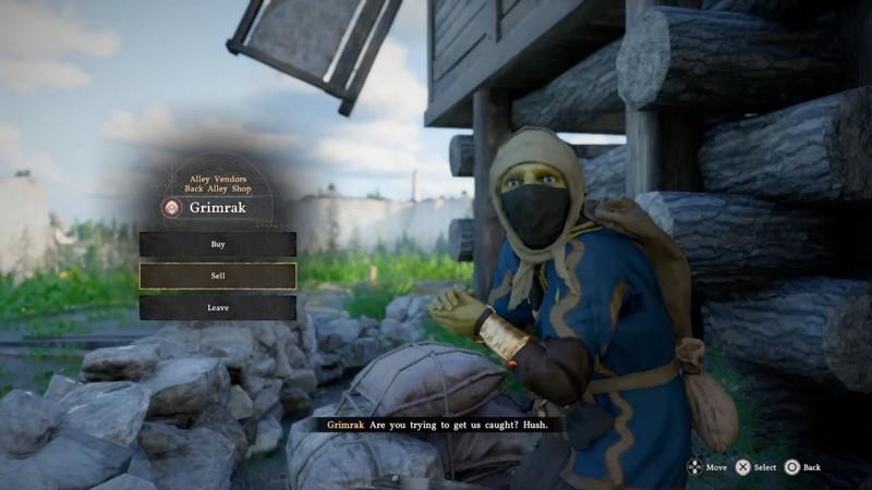 دزدی در Crimson Desert