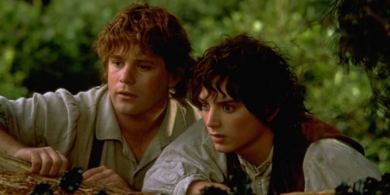 فیلم Shadows of the Past: سم و فرودو در Fellowship of the Ring