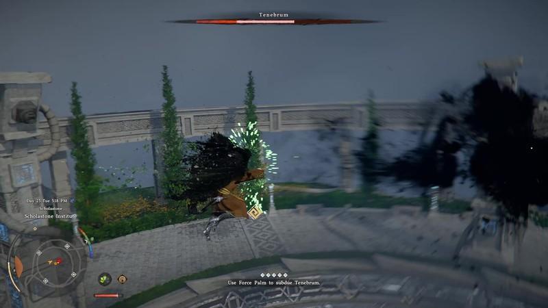 نحوه شکست باس Tenebrum Crimson Desert